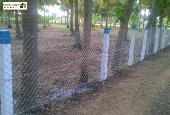 coconut farmer chain link fencing