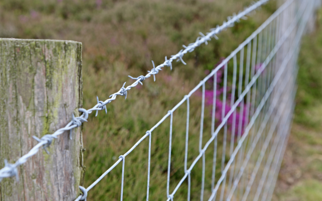 barbed-wire-fencing