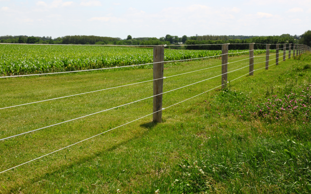 far- Barbed-wire-fencing