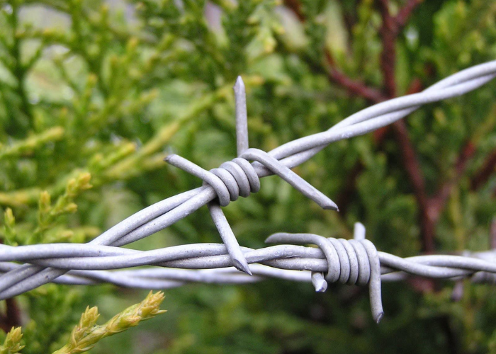 barbed-wire-fence