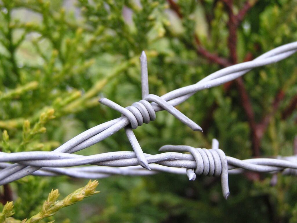 Barbed-Wire-Fencing