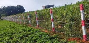 Red and white post fencing around farm land in Chennai